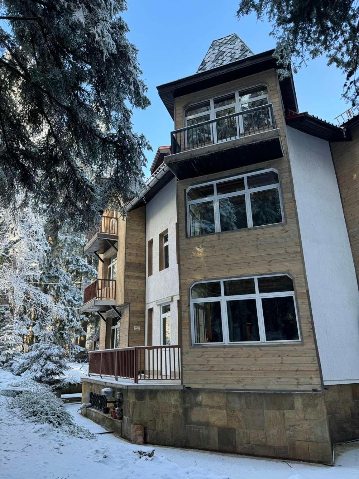 The Forest Villa Borovets Bagian luar foto