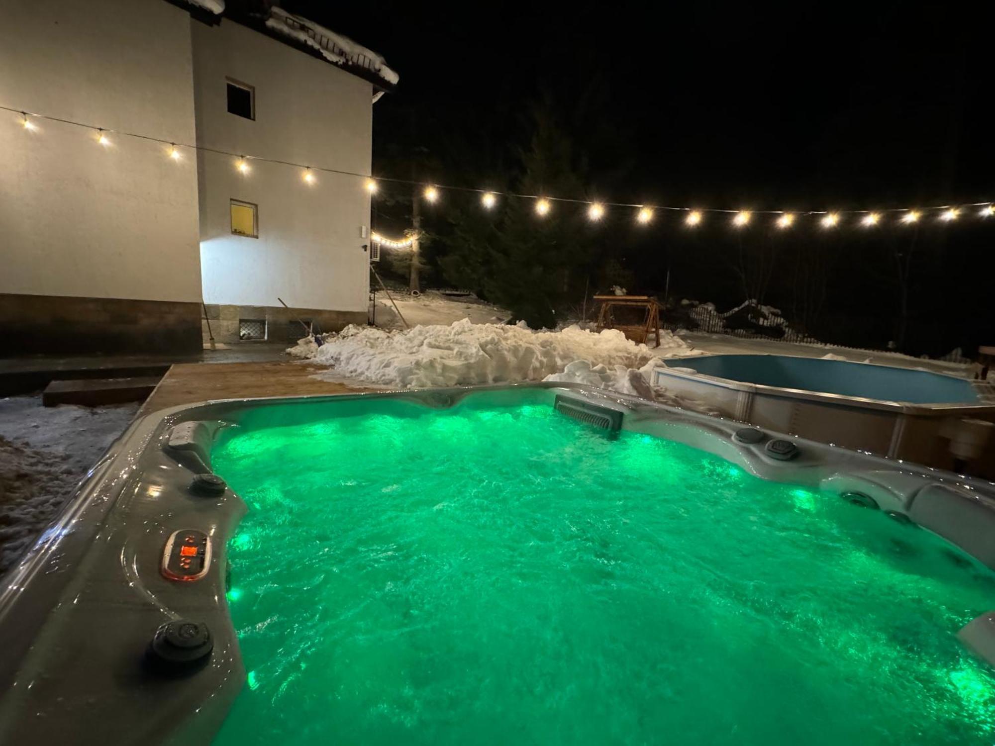 The Forest Villa Borovets Bagian luar foto