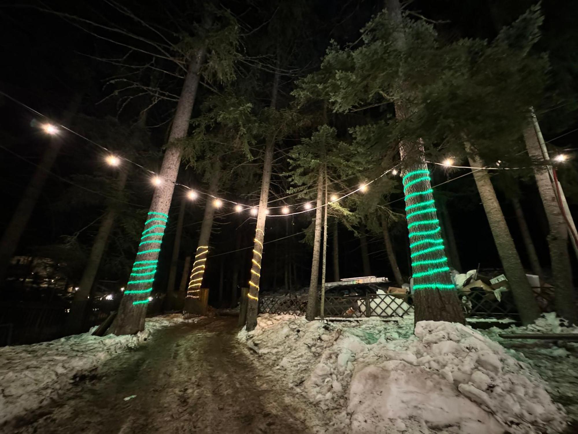 The Forest Villa Borovets Bagian luar foto