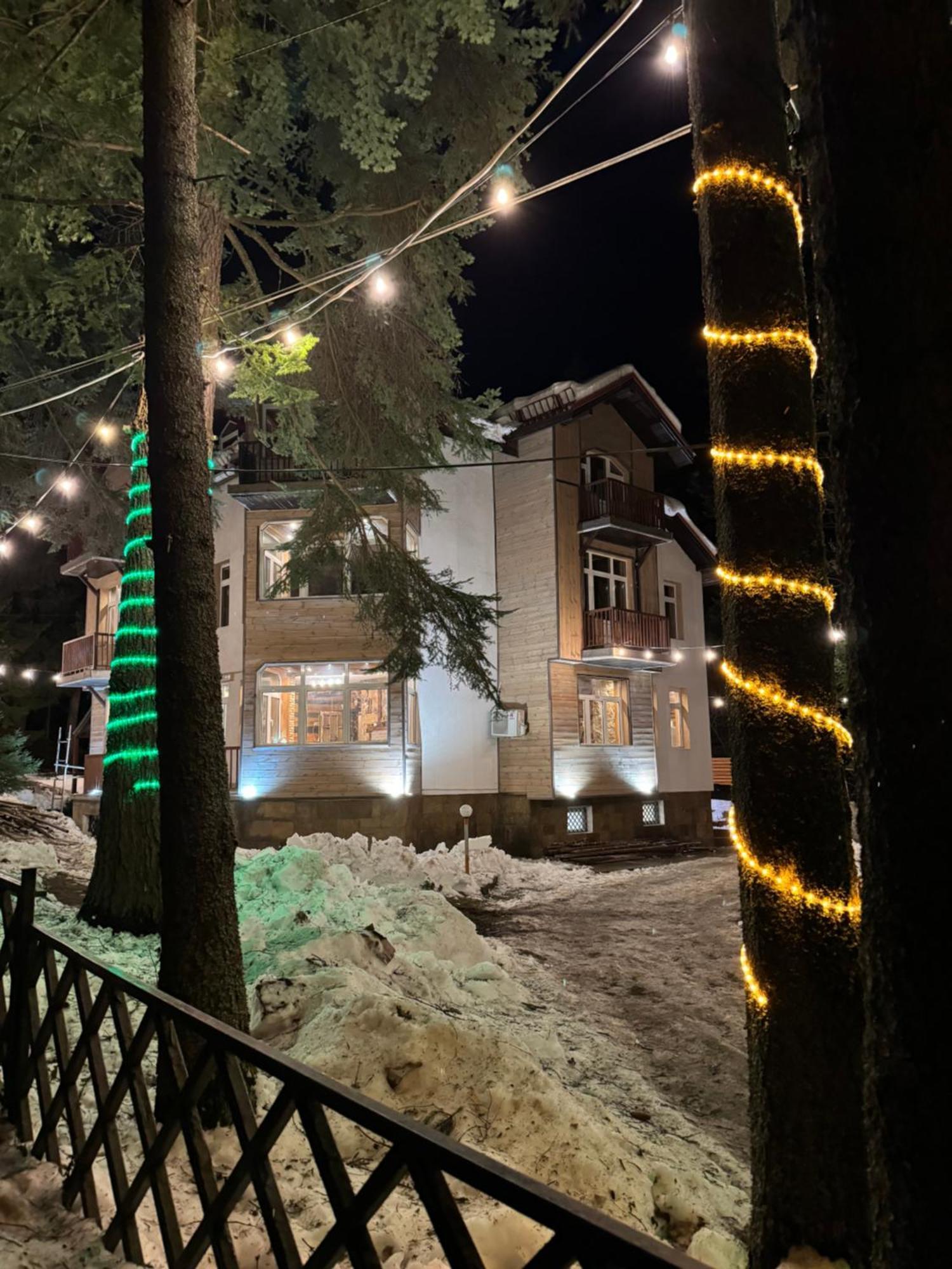 The Forest Villa Borovets Bagian luar foto