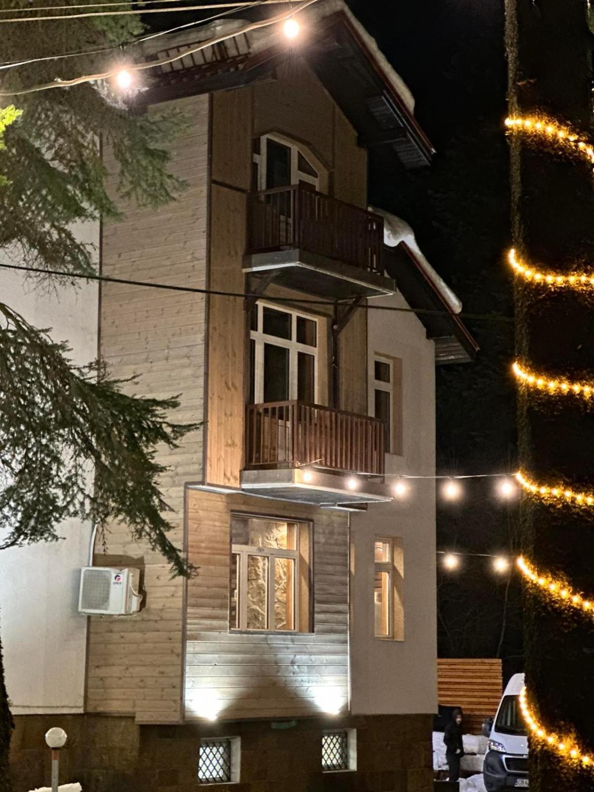 The Forest Villa Borovets Bagian luar foto