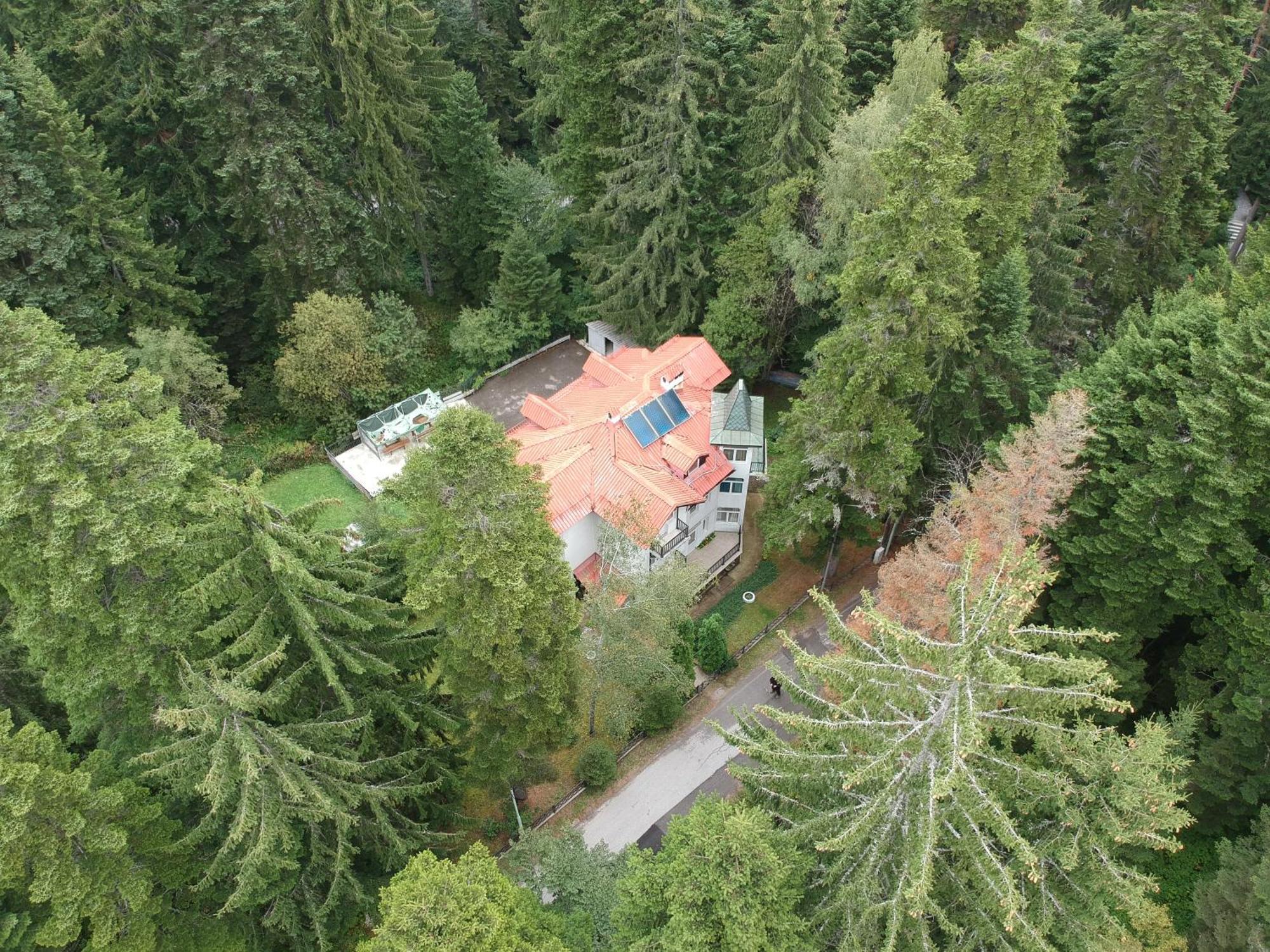 The Forest Villa Borovets Bagian luar foto