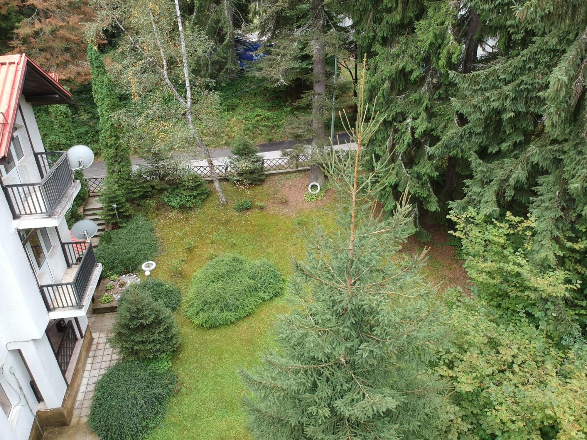 The Forest Villa Borovets Bagian luar foto