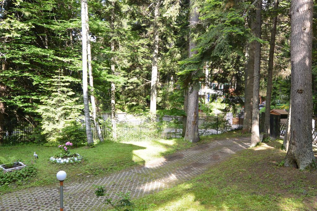 The Forest Villa Borovets Bagian luar foto