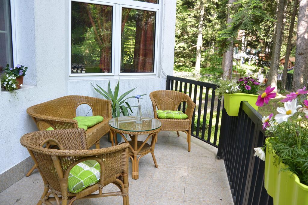 The Forest Villa Borovets Bagian luar foto
